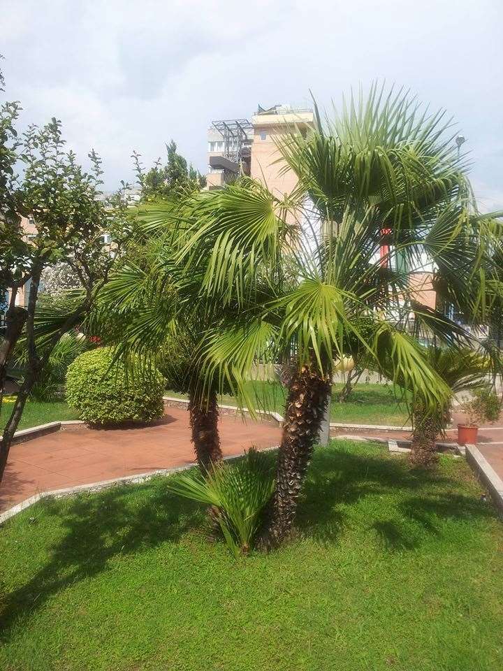 Hotel De La Ville Central 拉蒂纳 设施 照片